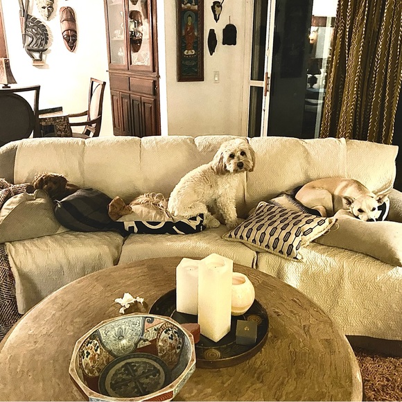 Meet your Posher, Adrienne - Picture 12 of 16